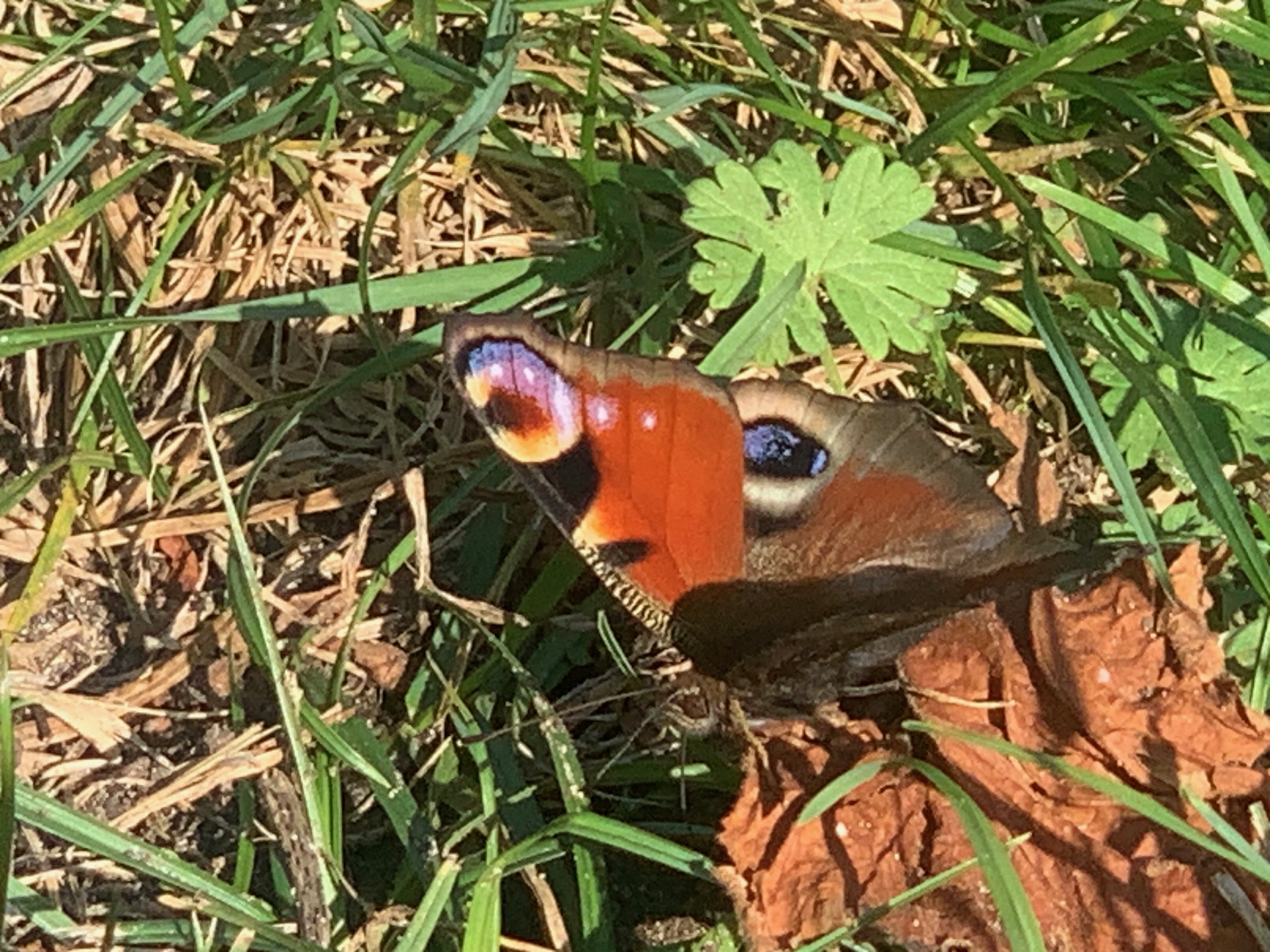 Informationsveranstaltung zum Schutzkonzept am 13.09.2025